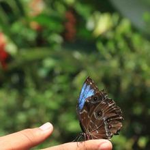 Expedici&oacute;n &lsquo;Todas y Todos a Estudiar&rsquo;, por el zool&oacute;gico de Cali