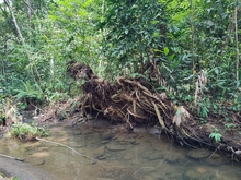 Coraz&oacute;n de Pance: un parche para divertirse aprendiendo