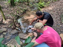 Coraz&oacute;n de Pance: un parche para divertirse aprendiendo