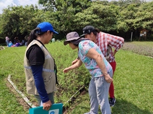 Coraz&oacute;n de Pance: un parche para divertirse aprendiendo