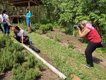 Coraz&oacute;n de Pance: un parche para divertirse aprendiendo