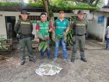 Control a la extracci&oacute;n ilegal de recursos naturales