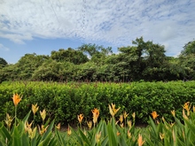 Visitantes de Asia, &Aacute;frica y Europa exaltaron la riqueza del &lsquo;Coraz&oacute;n de Pance&rsquo;