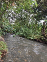 Visitantes de Asia, &Aacute;frica y Europa exaltaron la riqueza del &lsquo;Coraz&oacute;n de Pance&rsquo;