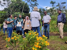 Visitantes de Asia, &Aacute;frica y Europa exaltaron la riqueza del &lsquo;Coraz&oacute;n de Pance&rsquo;