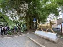 Parche Seguro: una estrategia para la promoci&oacute;n del turismo y la reactivaci&oacute;n econ&oacute;mica