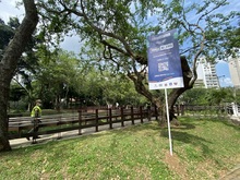 Parche Seguro: una estrategia para la promoci&oacute;n del turismo y la reactivaci&oacute;n econ&oacute;mica