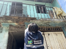 Equipo de protecci&oacute;n animal, presente en los jarillones