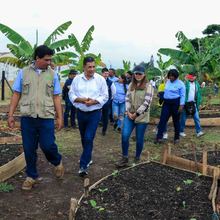 Cooperaci&oacute;n internacional, acci&oacute;n clave en la consolidaci&oacute;n de un sistema distrital de huertas 