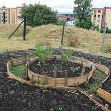 Cooperaci&oacute;n internacional, acci&oacute;n clave en la consolidaci&oacute;n de un sistema distrital de huertas 