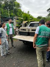 Acciones para  migar los efectos del tr&aacute;fico en la fauna silvestre 