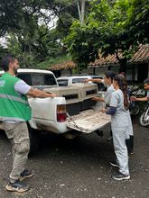 Acciones para  migar los efectos del tr&aacute;fico en la fauna silvestre 
