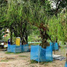 Parque Integral Cristo Rey preserva el corredor ecol&oacute;gico 