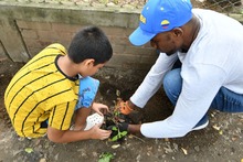 Vida y color, apuestas de los habitantes del barrio Olaya Herrera