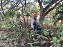 La &lsquo;Feriat&oacute;n del Emprendimiento&rsquo; llegar&aacute; este diciembre al Bulevar del R&iacute;o