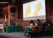 Los animales, los m&aacute;s afectados por el uso de p&oacute;lvora en Cali