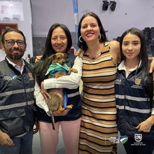 Concejo de Cali aprob&oacute; el proyecto de acuerdo para la creaci&oacute;n de la UAEPA