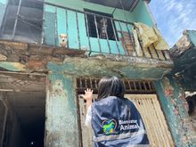 Dagma invita a celebrar la vida y erradicar la p&oacute;lvora en esta navidad