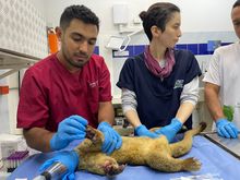 Dagma invita a celebrar la vida y erradicar la p&oacute;lvora en esta navidad