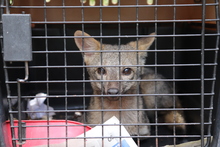 Dagma invita a celebrar la vida y erradicar la p&oacute;lvora en esta navidad