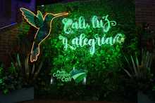 &lsquo;Cali, Luz y Alegr&iacute;a&rsquo;, un alumbrado alusivo a la biodiversidad de la &lsquo;Sucursal del Cielo&rsquo;