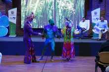 &lsquo;Cali, Luz y Alegr&iacute;a&rsquo;, un alumbrado alusivo a la biodiversidad de la &lsquo;Sucursal del Cielo&rsquo;