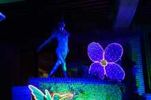 &lsquo;Cali, Luz y Alegr&iacute;a&rsquo;, un alumbrado alusivo a la biodiversidad de la &lsquo;Sucursal del Cielo&rsquo;