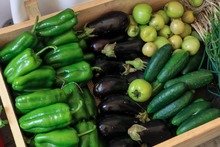 Exitoso balance dej&oacute; la &lsquo;Feriat&oacute;n del Emprendimiento&rsquo; para la econom&iacute;a de Cali