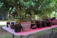 Liceo Quial gan&oacute; premio internacional Los ODS en los Centros Educativos