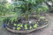 Agencias de cooperaci&oacute;n internacional resaltan valor social de huertas y jardines del jarill&oacute;n