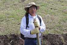 Agencias de cooperaci&oacute;n internacional resaltan valor social de huertas y jardines del jarill&oacute;n