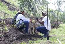 Agencias de cooperaci&oacute;n internacional resaltan valor social de huertas y jardines del jarill&oacute;n
