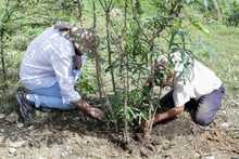 Agencias de cooperaci&oacute;n internacional resaltan valor social de huertas y jardines del jarill&oacute;n