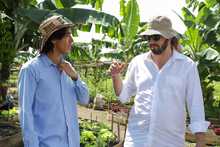 Agencias de cooperaci&oacute;n internacional resaltan valor social de huertas y jardines del jarill&oacute;n