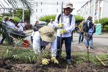 Agencias de cooperaci&oacute;n internacional resaltan valor social de huertas y jardines del jarill&oacute;n