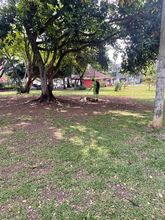 Por segunda vez en 2022, Datic embellece el parque Colseguros Andes