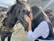 &iexcl;La espera termin&oacute;! M&aacute;s de 100 equinos se preparan para disfrutar de un nuevo hogar en esta navidad