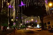 El colibr&iacute; es el s&iacute;mbolo de nuestro alumbrado. Se tiene un reporte de 562 especies de aves, de las cuales 42 son especies de colibr&iacute;es. 