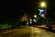En su traves&iacute;a por Los Andes de Colombia, el colibr&iacute; lleg&oacute; a la Sucursal del Cielo para encender 1.500.000 luces led del alumbrado navide&ntilde;o. 