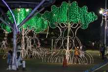 Los colibries estar&aacute;n en las gargantillas de los &aacute;rboles, en los m&aacute;stiles de la calle 5, en la decoraci&oacute;n del r&iacute;o Cali y en las figuras volum&eacute;tricas del Bulevar del R&iacute;o.