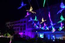 Luz y alegr&iacute;a en todos los puntos cardinales de Cali esta Navidad