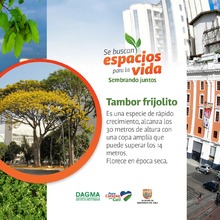 &lsquo;Espacios para la Vida&rsquo; sembrar&aacute; su &aacute;rbol 2000 en Brisas de Mayo