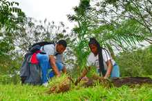 &lsquo;Espacios para la Vida&rsquo; sembrar&aacute; su &aacute;rbol 2000 en Brisas de Mayo