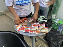 La huerta comunitaria mejorar&aacute; la alimentaci&oacute;n de muchas familias de la Comuna 6