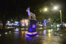  Reforzamos la seguridad para mujeres y ni&ntilde;as en Cali