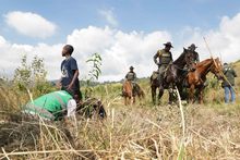 &lsquo;Espacios para la Vida&rsquo; contribuye con el fortalecimiento del relicto boscoso en Brisas de Mayo
