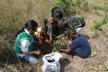 &lsquo;Espacios para la Vida&rsquo; contribuye con el fortalecimiento del relicto boscoso en Brisas de Mayo
