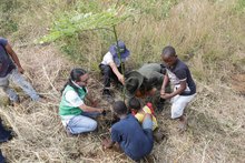 &lsquo;Espacios para la Vida&rsquo; contribuye con el fortalecimiento del relicto boscoso en Brisas de Mayo