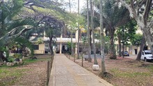 Para 2023, zonas verdes de Escuela Normal Superior Farallones de Cali se proyectan como bosque urbano