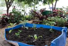 Bienestar Social acompa&ntilde;a proyecto del Gobierno Nacional para erradicar el hambre en Colombia